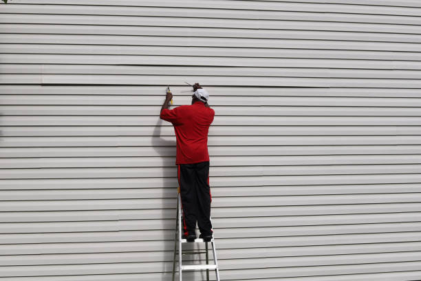 Best Aluminum Siding Installation  in Burton, SC