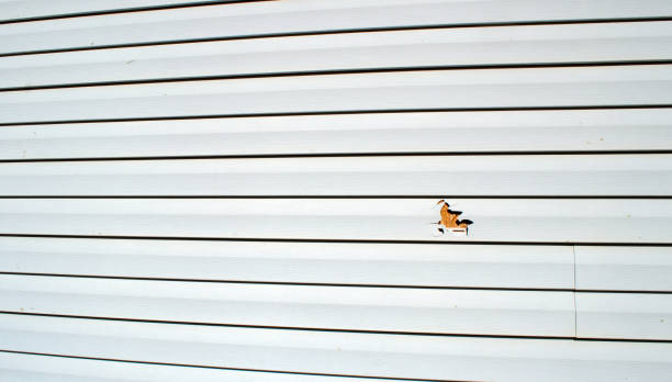 Best Weatherproofing and Sealing  in Burton, SC