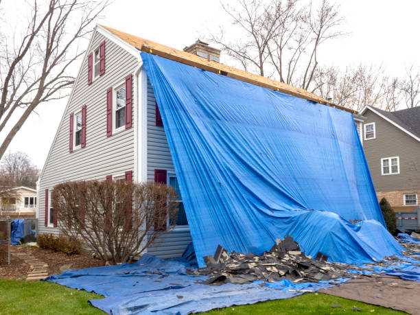 Best Stucco Siding  in Burton, SC