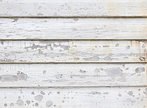 Best Siding Removal and Disposal  in Burton, SC