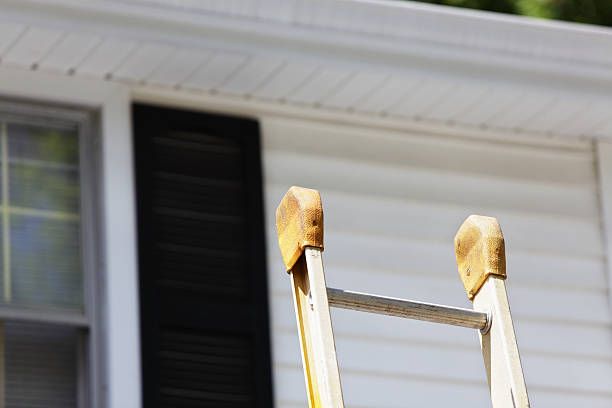 Best Siding Replacement  in Burton, SC