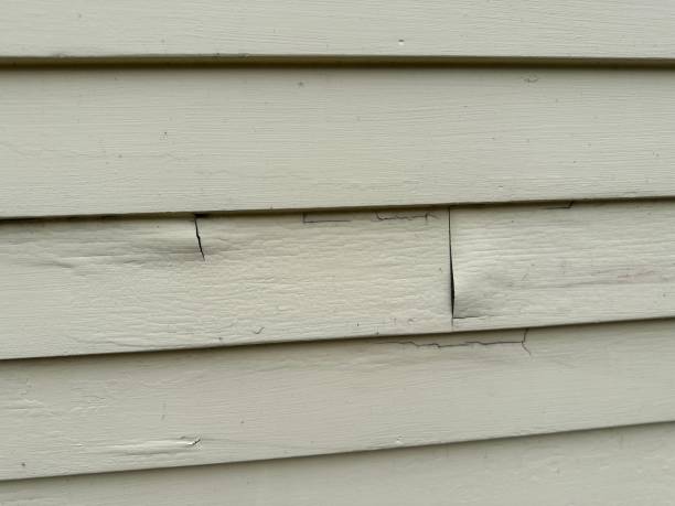 Best Engineered Wood Siding  in Burton, SC